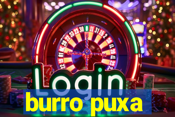 burro puxa